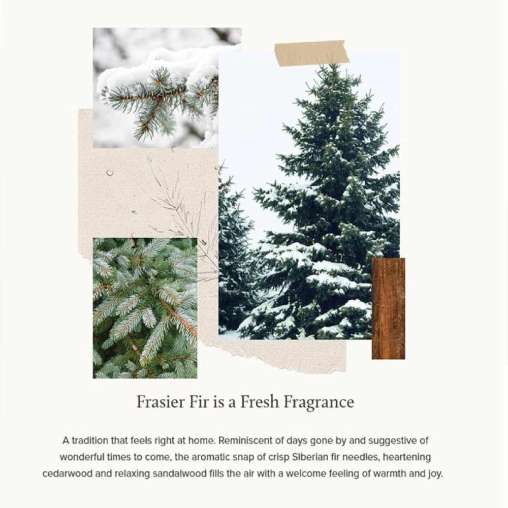 Thymes Frasier Fir Candle 3 wick 20 oz - Picture 9 of 9